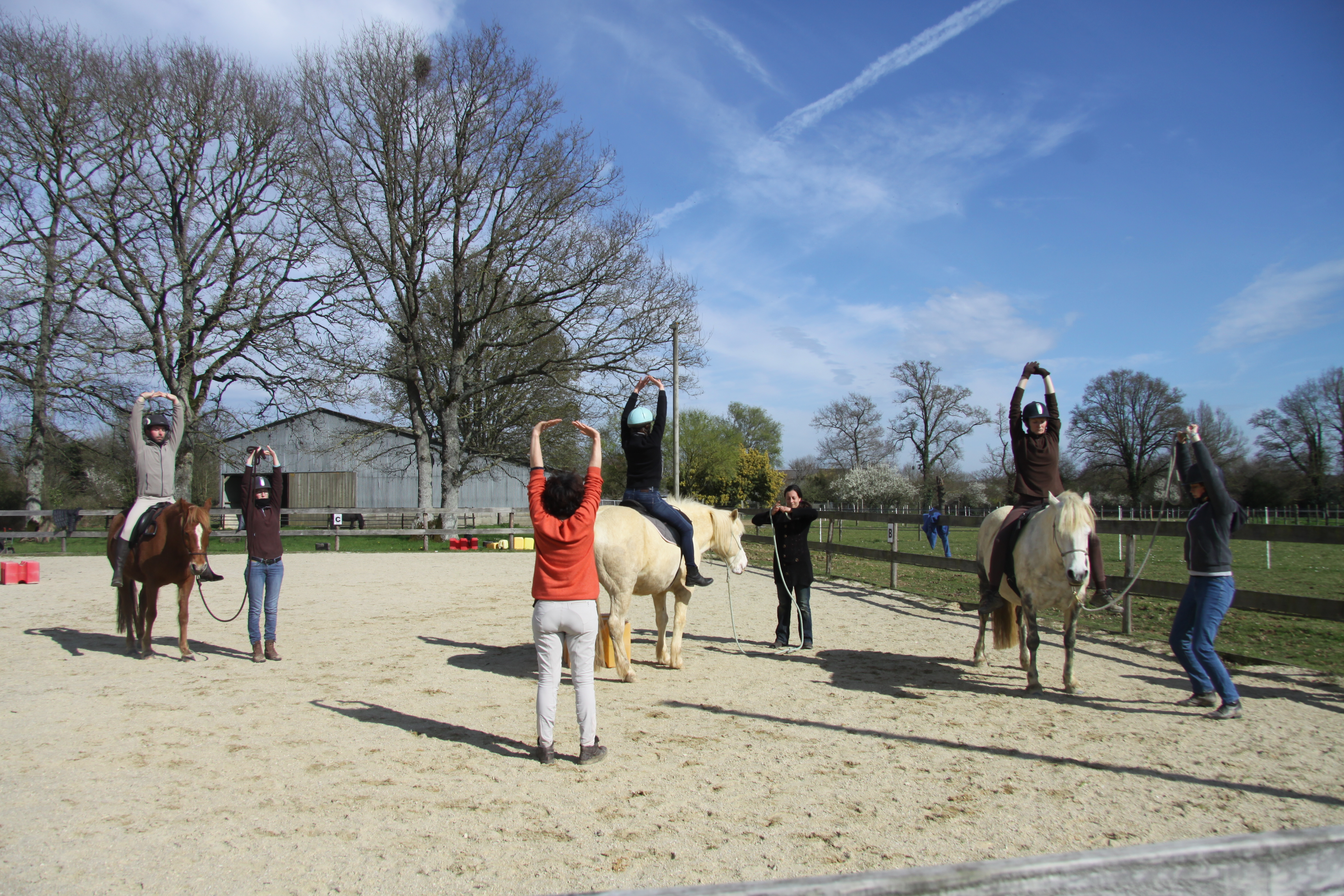 Equitation éthologique, cheval, Nantes, Rennes, centre équestre